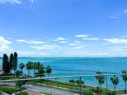 The Coast at Sentosa Cove (D4), Condominium #554142481